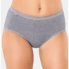 Sloggi Slips Midi Basic + (Lot De 4) (Gris)