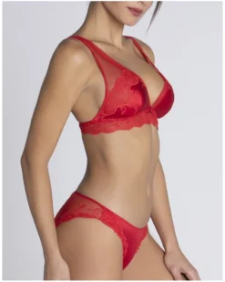 Soutien-gorge Triangle Lise Charmel Splendeur Soie (Splendeur Rouge) -Aubade Lingerie Boutique soutien gorge triangle lise charmel splendeur soie splendeur rouge 2