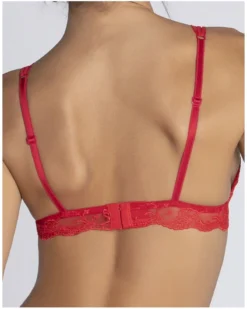 Soutien-gorge Triangle Lise Charmel Splendeur Soie (Splendeur Rouge) -Aubade Lingerie Boutique soutien gorge triangle lise charmel splendeur soie splendeur rouge 3
